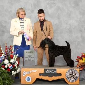 Meet your Posher, Jonathan